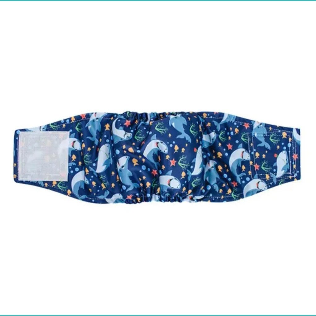 Male Dog Wrap Sharks
