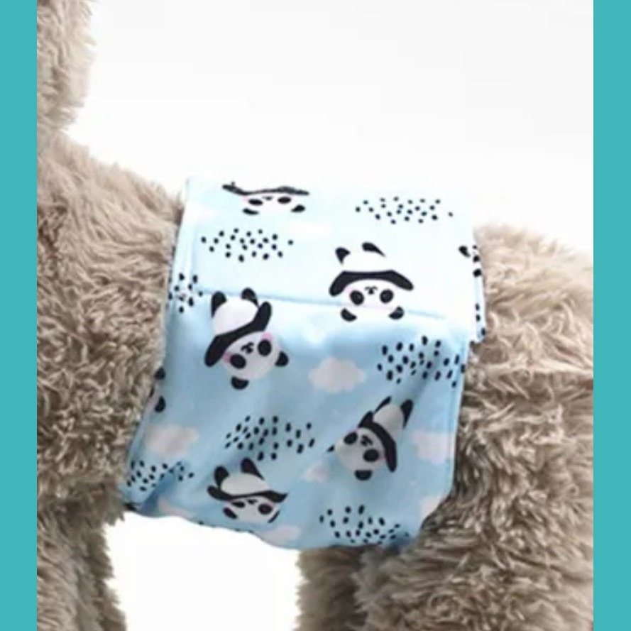 Male Dog Wrap Pandas