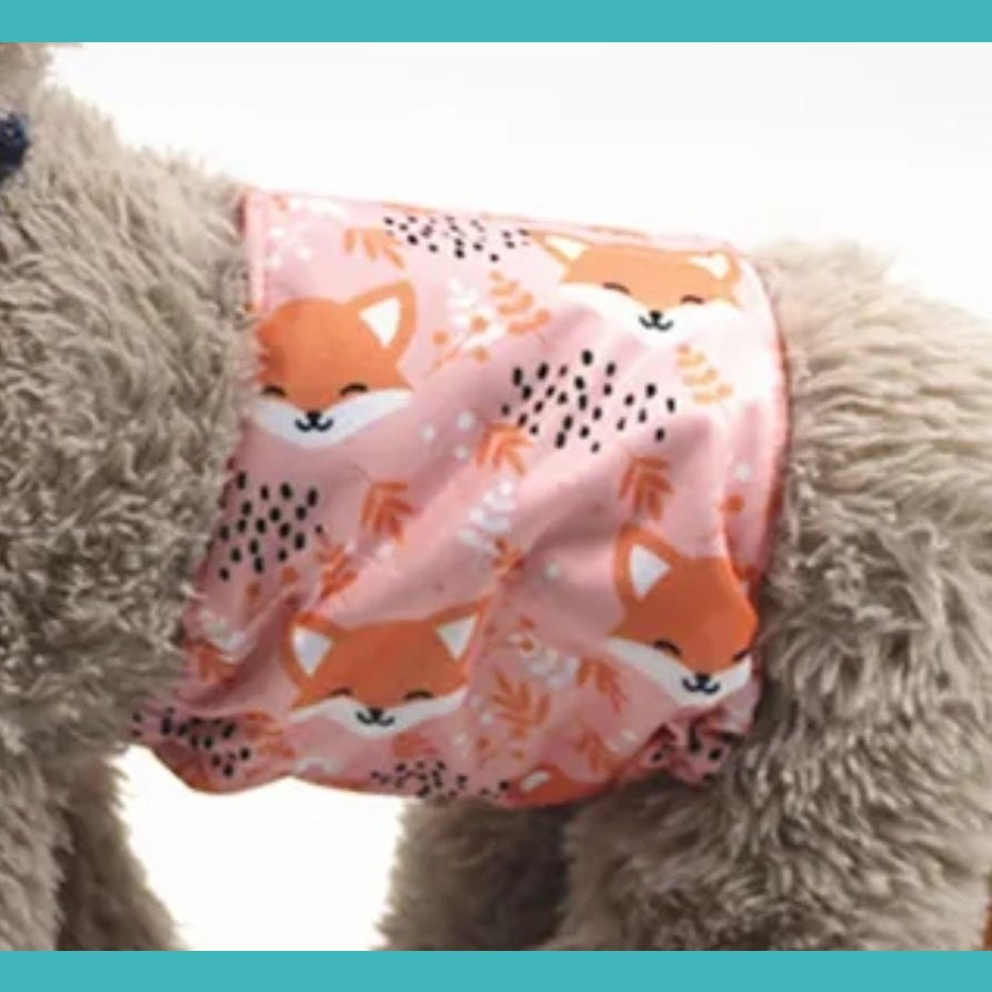 Male Dog Wrap Fox