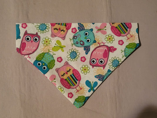 Owls Collar Bandana