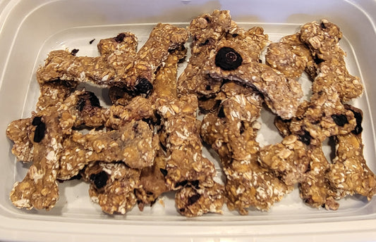 Blueberry Oat Crunchy Biscuit